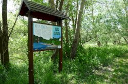 Information board about the gravel reef at Molnári