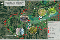 Inváziós fajok elleni beavatkozások a Balaton-felvidéki Nemzeti Park Igazgatóság területén 2022-ben