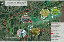 Inváziós fajok elleni beavatkozások a Balaton-felvidéki Nemzeti Park Igazgatóság területén 2022-ben