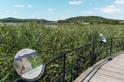 Ismeretterjesztő táblák a pallósoron