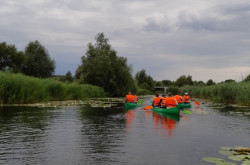 Kanutour am Kis-Balaton