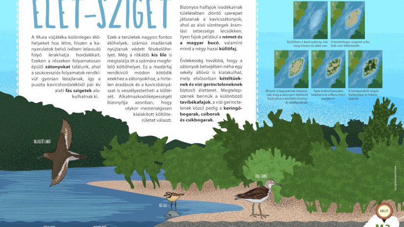 Kavicszátony tábla: Élet-sziget