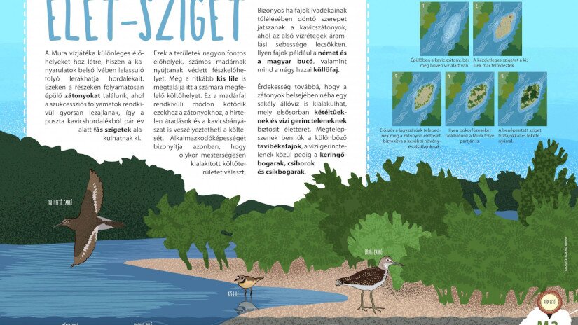 Kavicszátony tábla: Élet-sziget