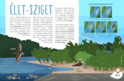 Kavicszátony tábla: Élet-sziget