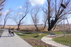 kerekesszekes_csopak12