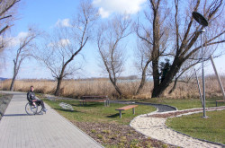 kerekesszekes_csopak12