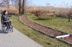 kerekesszekes_csopak14