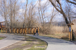kerekesszekes_csopak16