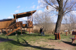 kerekesszekes_csopak20