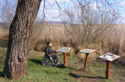 kerekesszekes_csopak21
