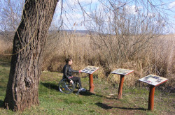 kerekesszekes_csopak21