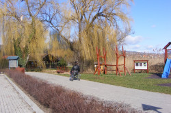 kerekesszekes_csopak29