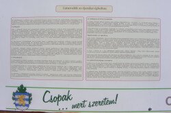 kerekesszekes_csopak32