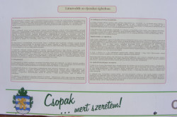 kerekesszekes_csopak32