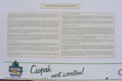 kerekesszekes_csopak32