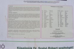 kerekesszekes_csopak34