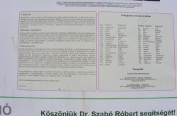 kerekesszekes_csopak34