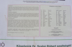 kerekesszekes_csopak34