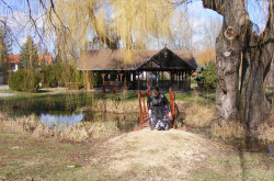 kerekesszekes_csopak40
