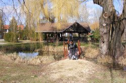 kerekesszekes_csopak40