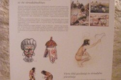 kerekesszekes_lovason15