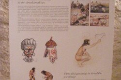kerekesszekes_lovason15