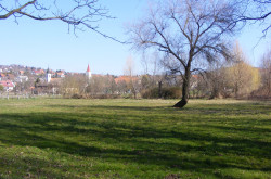kerekesszekes_lovason24