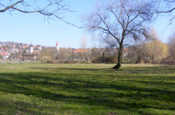 kerekesszekes_lovason24