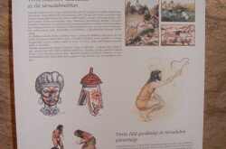 kerekesszekes_lovason25