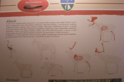 kerekesszekes_lovason45