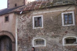 kerekesszekes_lovason49