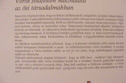kerekesszekes_lovason5