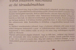 kerekesszekes_lovason5