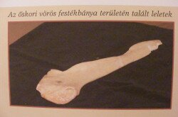 kerekesszekes_lovason50