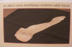 kerekesszekes_lovason50