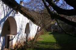 kerekesszekes_lovason54