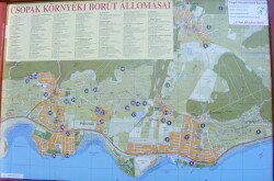 kerekesszekes_lovason55