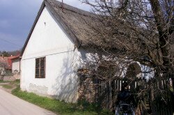 kerekesszekes_lovason58