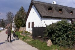 kerekesszekes_lovason64