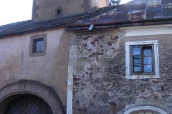 kerekesszekes_lovason70