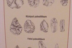 kerekesszekes_lovason9