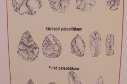 kerekesszekes_lovason9