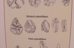 kerekesszekes_lovason9