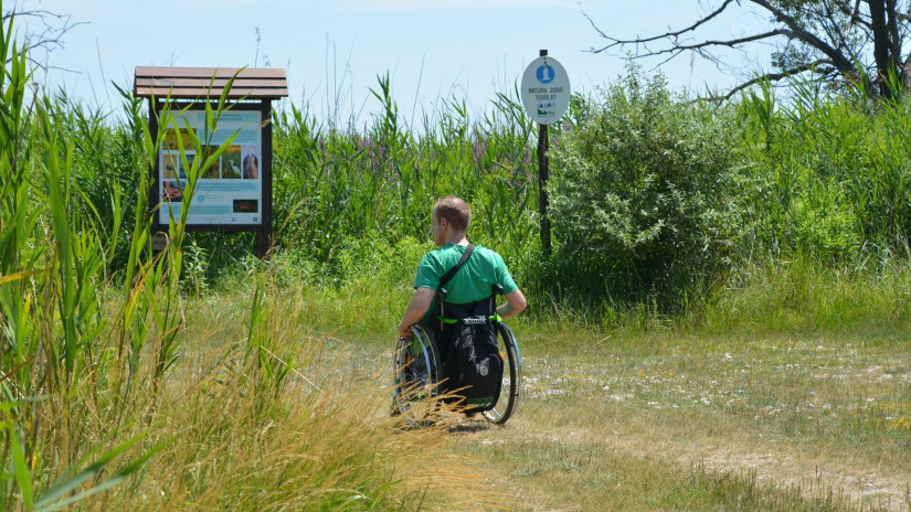 Kerekesszékkel a Berekben