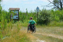 Kerekesszékkel a Berekben