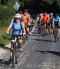 Kerékpáros túraútvonal Dél-Zalában
