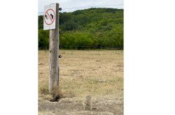 Kérjük, ne etessék az ürgéket!