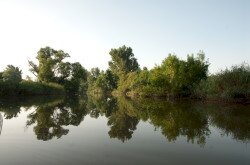 Kerka torkolat