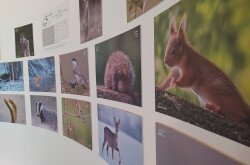 Kiállítás a Varázslatos Magyarország fotóiból