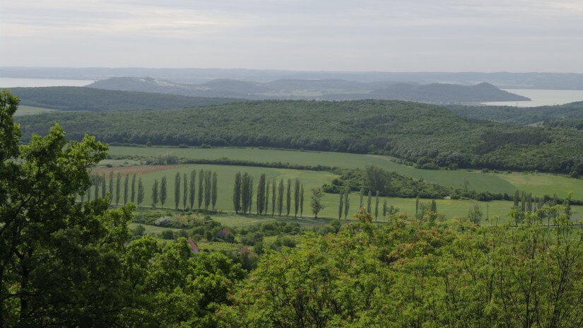 Kilátás a pécselyi Öreg-hegyről